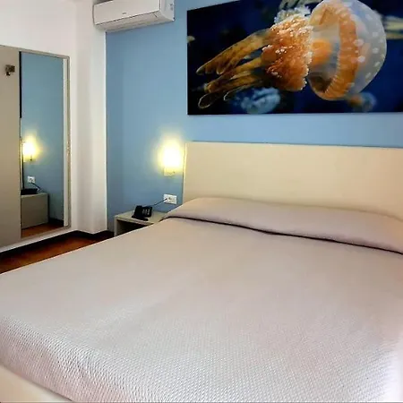 Carol Hotel 3*