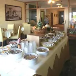 Hotel Carol 3*